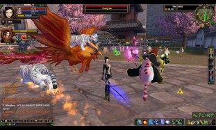 Tygr letící na kohoutovi