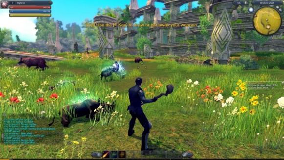 RaiderZ