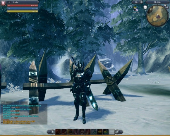 RaiderZ