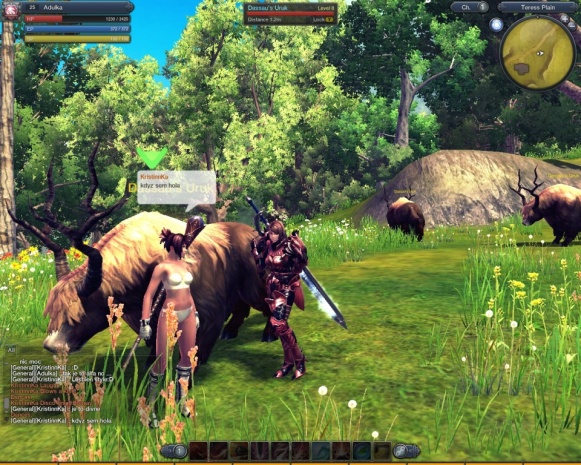 RaiderZ